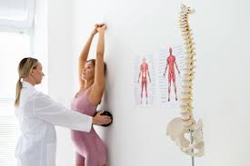 Massage Anatomy